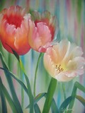 by Sherry Winkler