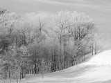 by Barb Lowry