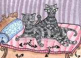 by Caitlin Doyle