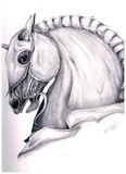by Kim  Lawrie
