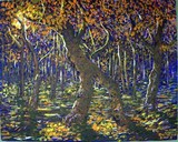 by stefan duncan
