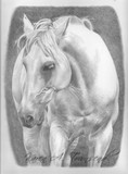 by karen townsend