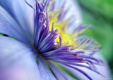 by Bill M
