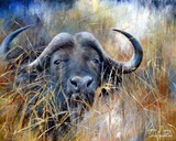 by Lynne Davies