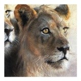 by Lynne Davies