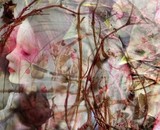 by Barbara Agreste
