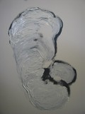 by Anna  Girgis