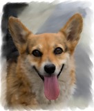 by Jackee Swinson