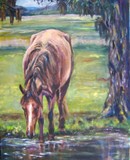by Joan  Wulff