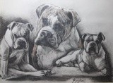 by MLW Illustration & Ink