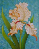 by Carol Sabo