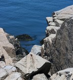 by Michael Oleksiw