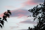 by Debra Kott