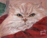 by Wendy Law