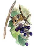 by Gerrit Hansen