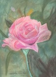 by Carole Clark