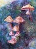 by Carole Clark