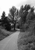 by geert-jan tielen