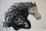 by cindy kelly