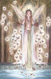 by Sara Butcher