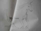 by nani  loke