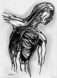 by Niall Parkinson