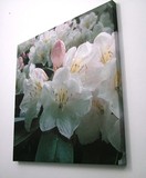 by Wemyss Bay Arts & Crafts
