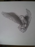 by Eelco van Enter