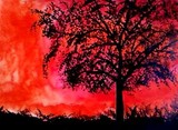by MINTU AZAD