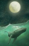 by David Leahey