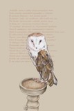 by Maria  van Bruggen