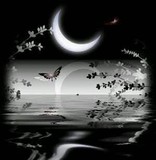 by Denise Catino