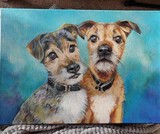 by Kate Worrall