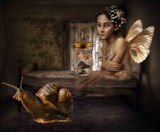 by DANIELA SPALLANZANI