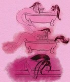 by Meghan Santucci