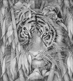by Sher Richardson