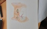 by Michael  Williams 