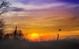 by J Jardey