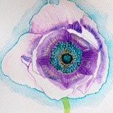 by Zuzi Petals & Pics