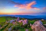 by Alexander Leo