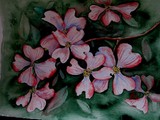 by Dianna Simms