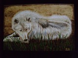 by Gayle Taylor