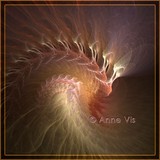 by Anne Vis