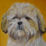 by Sandra van der Veen