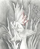 by Danika Dallaire