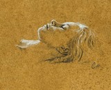 by Craig Houghton