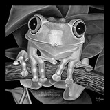 by Jon Johnson