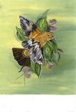 by Marion Bubak