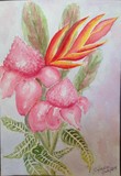 by Belinda Balaski