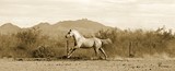 by CowGirlZen Artworks